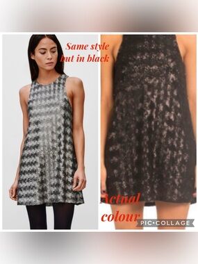 Aritzia Talula Canterbury Dress